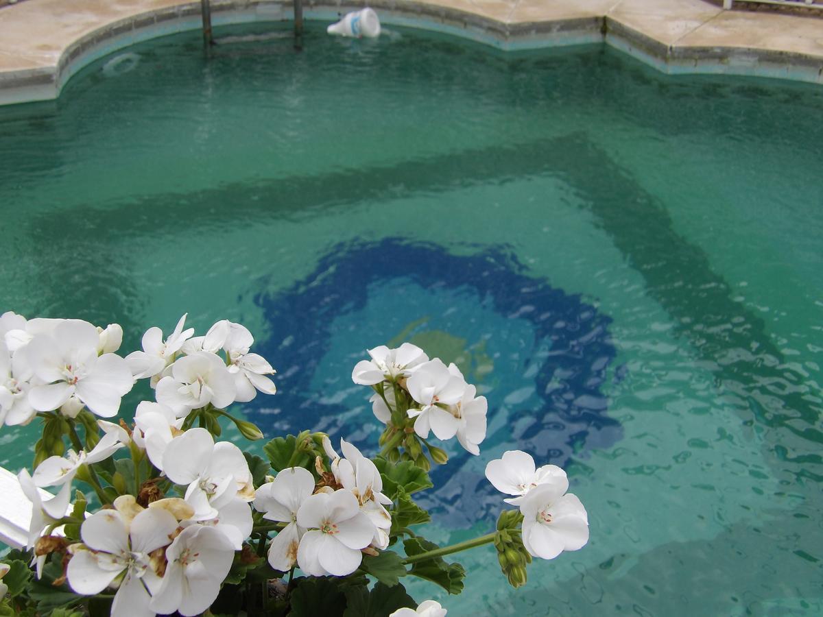 Palacio Donana , Rural & Luxury 3* El Rocío